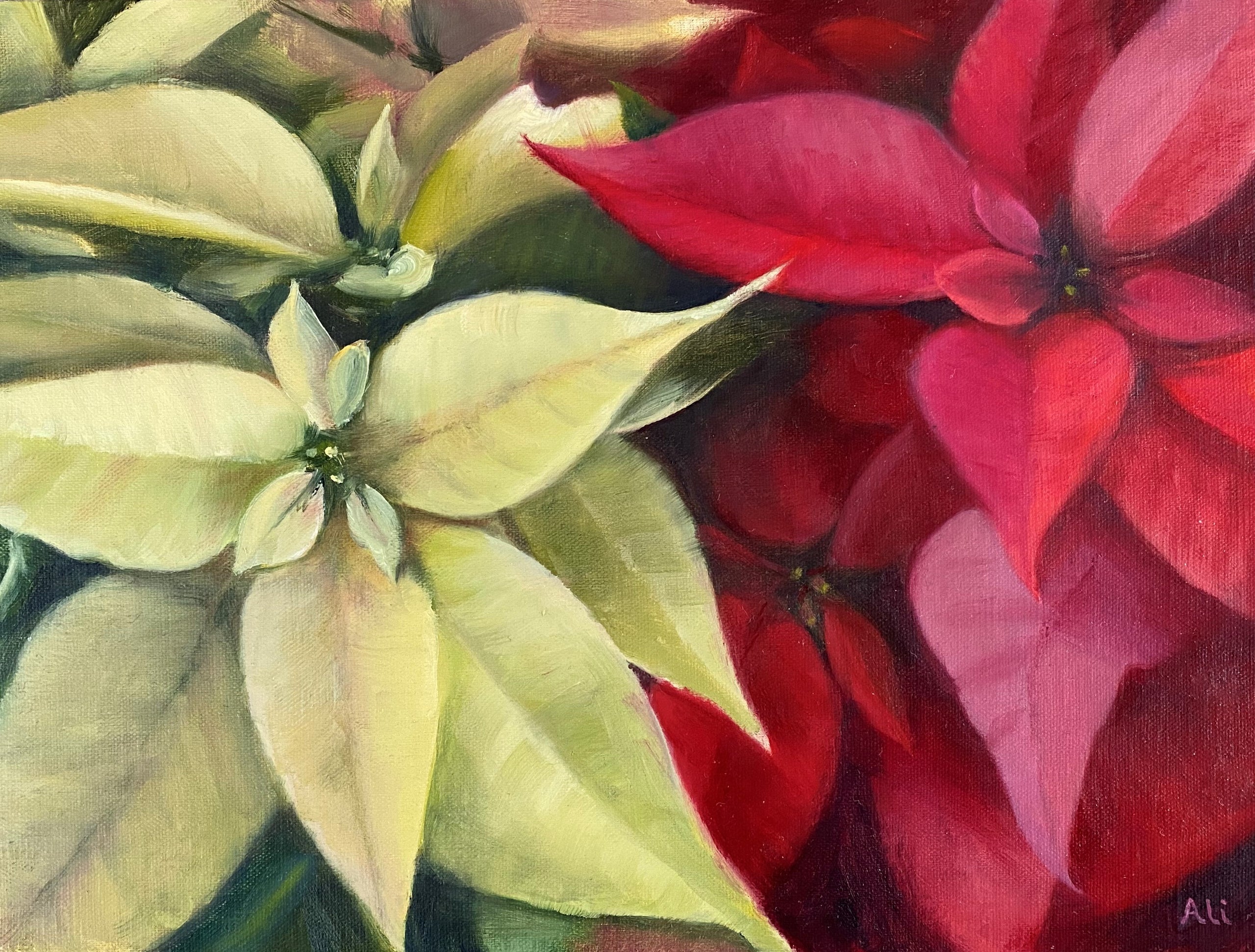 Poinsettias persimmon art gallery llc